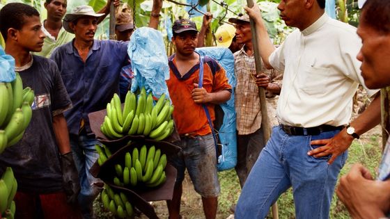 Auf einer Bananenplantage. (Symbolfoto: Adveniat/Escher)