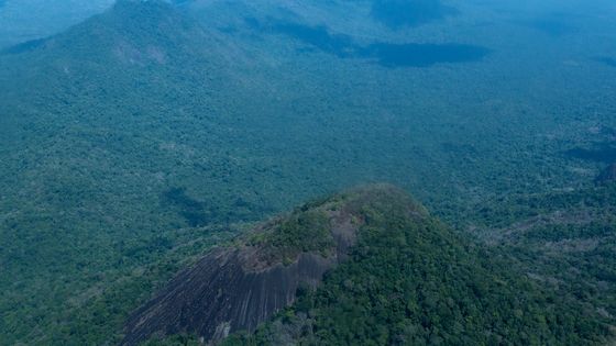Berge und der dichte Amazonas-Urwald (Symbolfoto: Escher/Adveniat)
