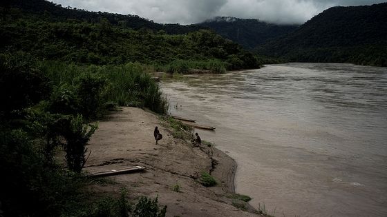 Lebensraum der Ashaninka-Indígenas am Río Ene in Perú. Foto: International Rivers, CC BY-NC-SA 2.0.