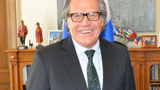 Der Uruguayer Luis Almagro ist neuer OAS-Generalsekretär. Foto: Maria Patricia Leiva/OAS. CC BY-NC-ND 2.0