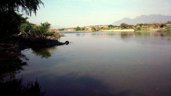 Der Río Balsas fließt zwischen den Staaten Michoacán und Guerrero, México. Foto: Felipe Alfonso,CC BY-NC-ND 2.0.
