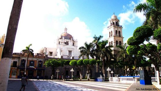 Die Suchtruppe "Colectivo Solecito" sucht in Veracruz, Mexiko, nach geheimen Massengräbern. Foto: Russ Bowling, CC BY 2.0.