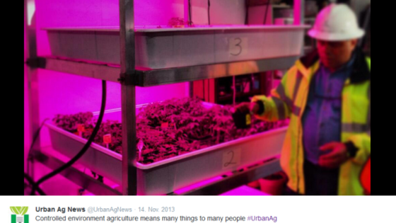 Eine vertikale Farm: Auf mehreren Ebenen werden Salate in einer kontrollierten Umwelt angebaut ("controlled enviroment agriculture"). Foto: Urban Ag News/Twitter
