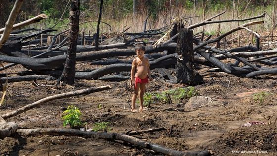 Die Lebenswelt der Yanomami im brasilianischen Amazonasgebiet ist bedroht. Foto: Adveniat/Escher