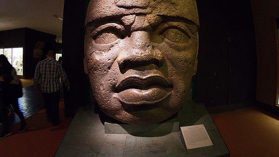 Olmekischer Kopf im American Museum of Natural History, New York. Foto ('Symbolbild): Flickr, gemeinfrei