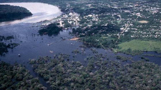 Amazonas Ein Fluss Stellt Sich Dem Klimawandel Blickpunkt Lateinamerika