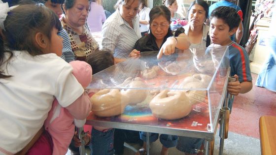 Mexiko: Vitrine mit drastischen Darstellungen zur Frage von ungeborenem Leben und Abtreibung in der Basilika. (Symbolfoto: Adveniat/Hecker)