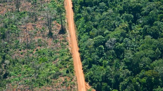 Eine quer durch den Amazonasurwald führende Straße in Brasilien trennt ein Rodungsgebiet (links) von intaktem Regenwald (rechts). Foto: Adveniat/Milz.