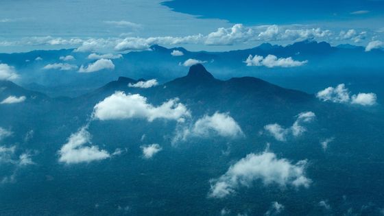 Das blühende Leben: Die Amazonas-Region in Brasilien. Foto: Adveniat/Jürgen Escher.