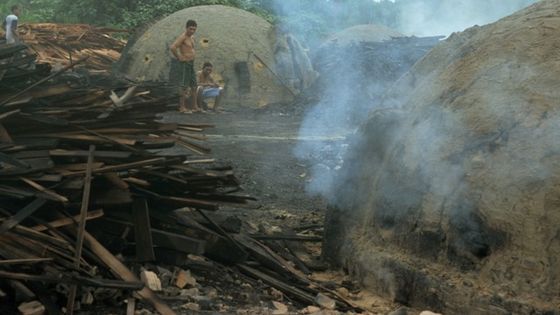 Holzkohleproduktion im brasilianischen Bundesstaat Pará. Foto: Adveniat/Bauerdick