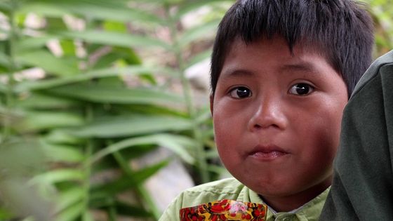 In Mittelamerika sind viele Kinder von Gewalt bedroht - für manche ist selbst der Schulweg zu gefährlich. Foto: Adveniat/André Schmidt.