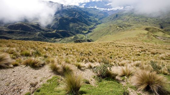 Landschaft im Bergland an der Straße nach Titicachi (Foto: Pohl/Adveniat)