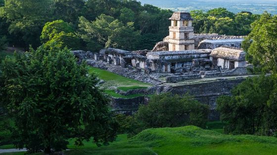 Die Ruinen von Palenque in Mexiko zählen zu den bedeutendsten Zeugnissen der Maya-Kultur. Foto: Adveniat/Hoch