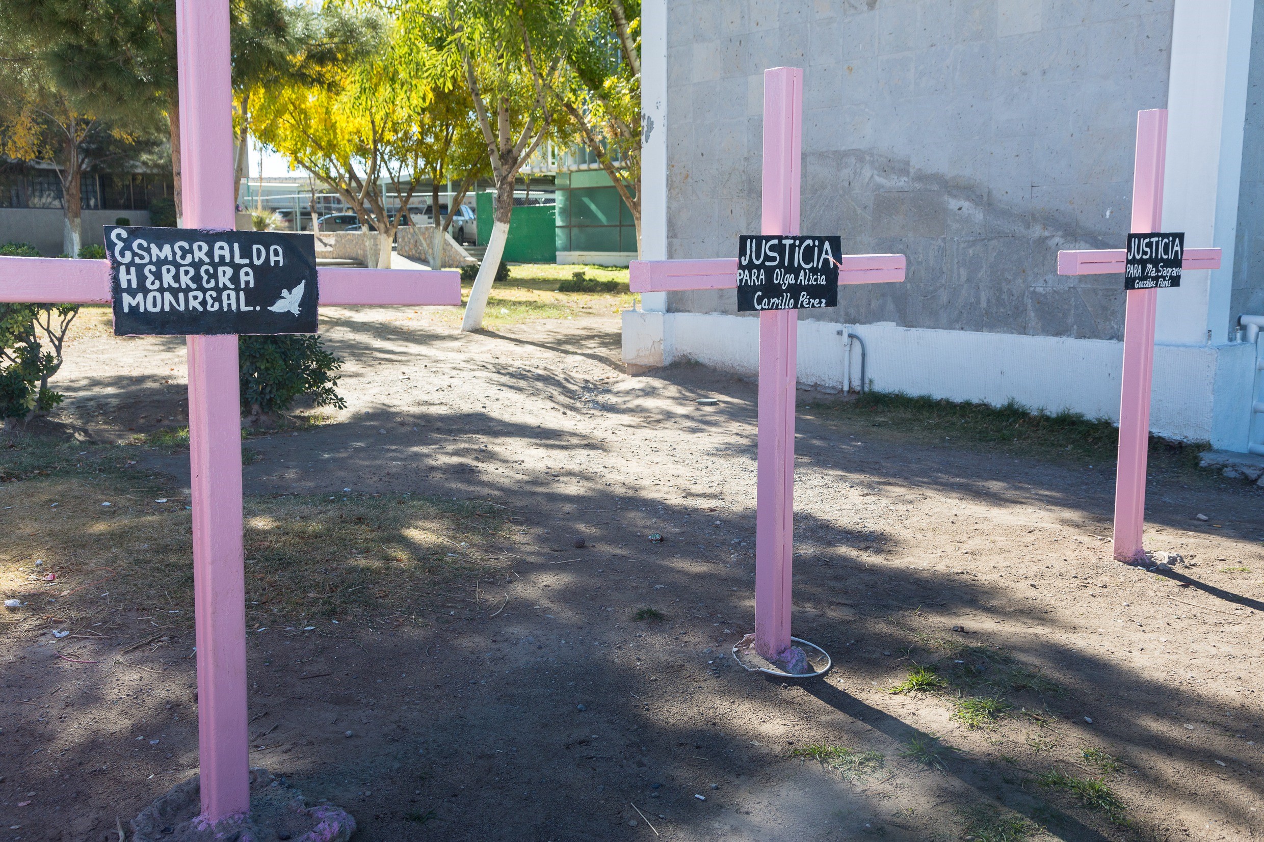 Rosa Kreuze in Tijuana, Mexiko, erinnern an verschwundene Menschen. Foto: Adveniat/Jürgen Escher