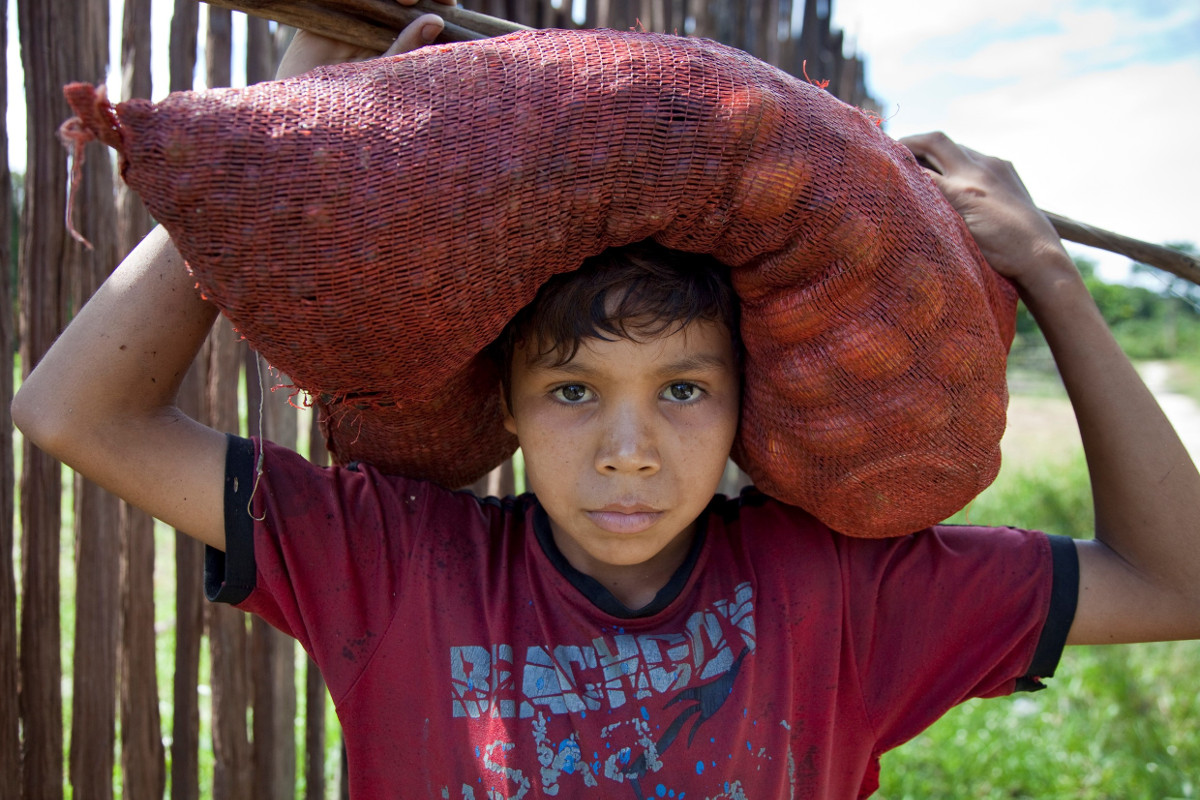 Brasilien, Kinderarbeit, Landwirtschaft, Adveniat