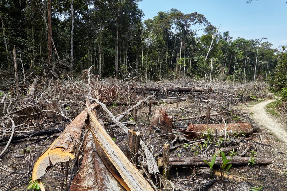 Adveniat Lateinamerika Peru Amazonas Urwald Abholzung