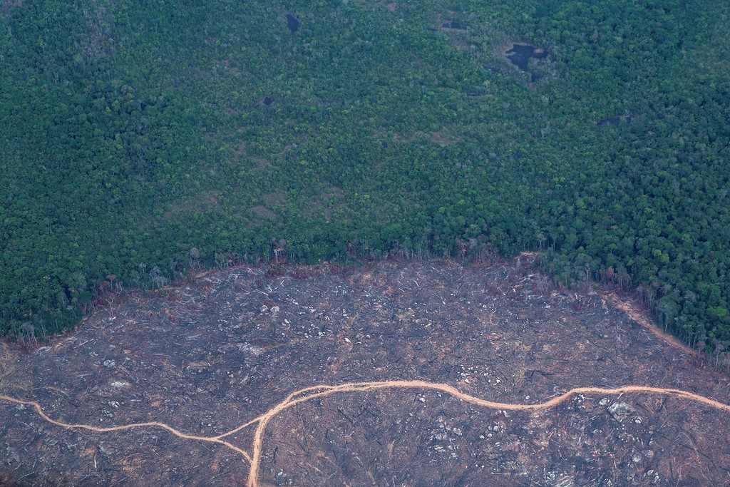 Abholzter Regenwald im brasilianischen Amazonasgebiet. Foto: Adveniat/Jürgen Escher