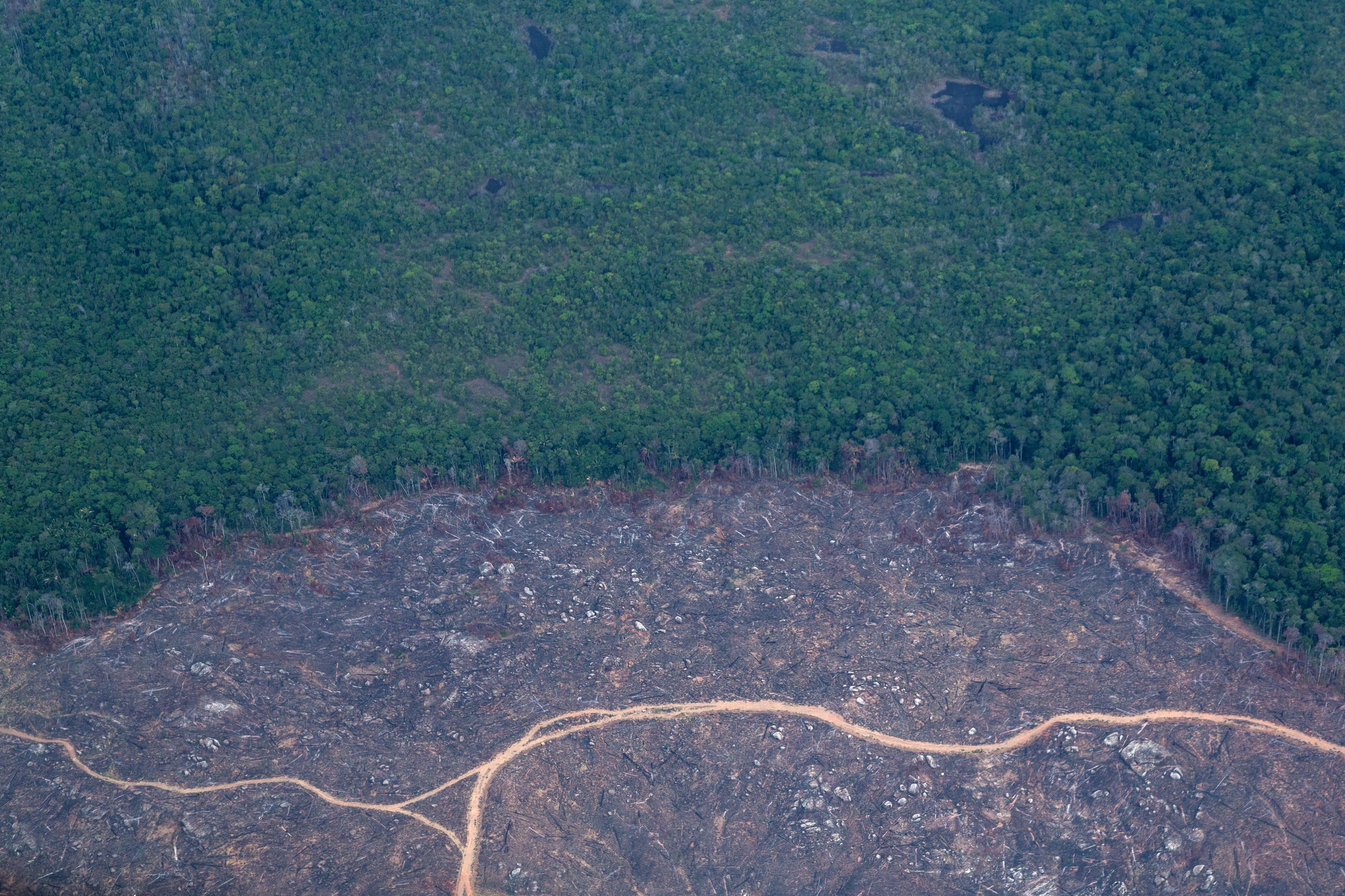 Amazonas, Umwelt, Abholzung, Brasilien