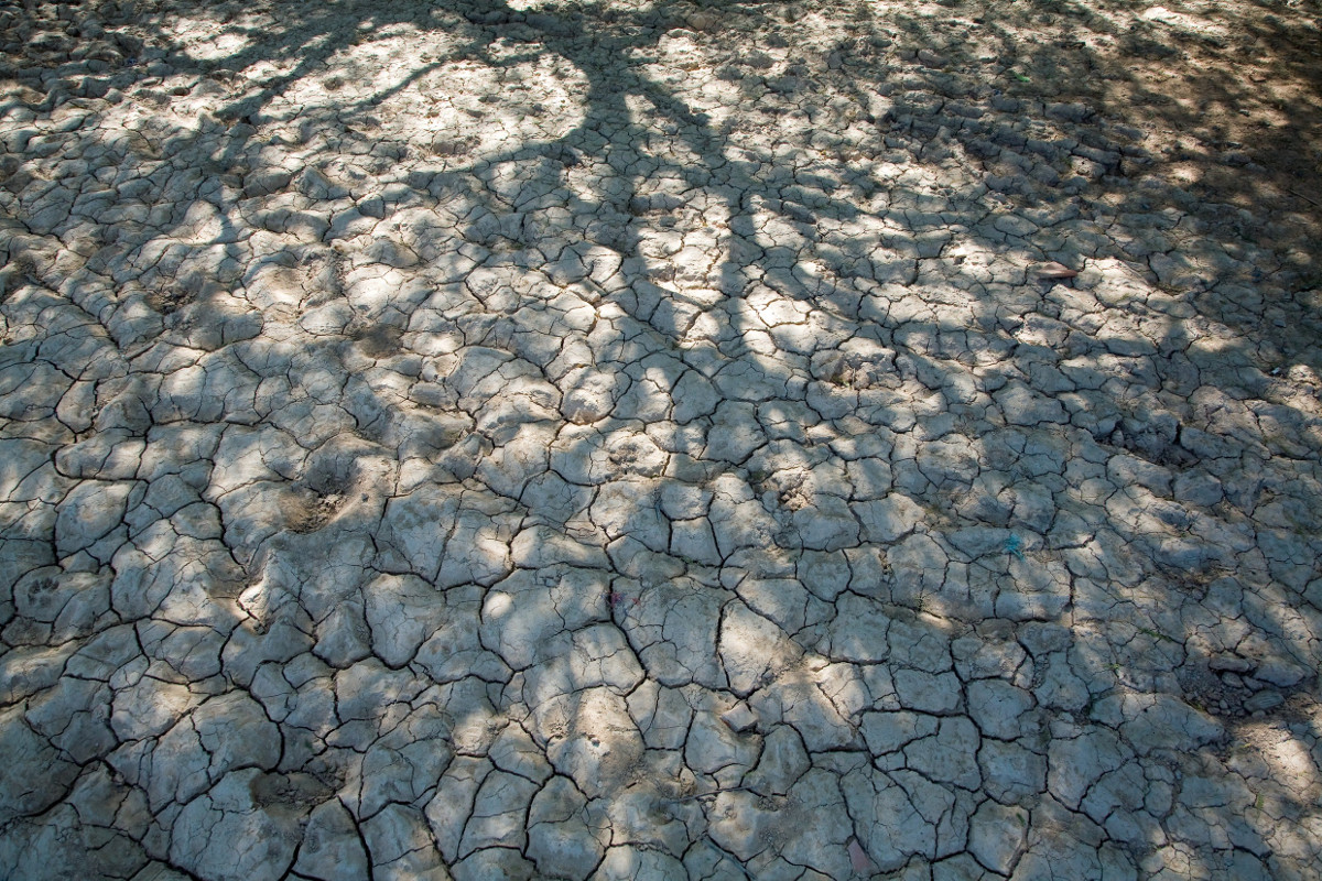 Lateinamerika Trockenheit Dürre El Niño